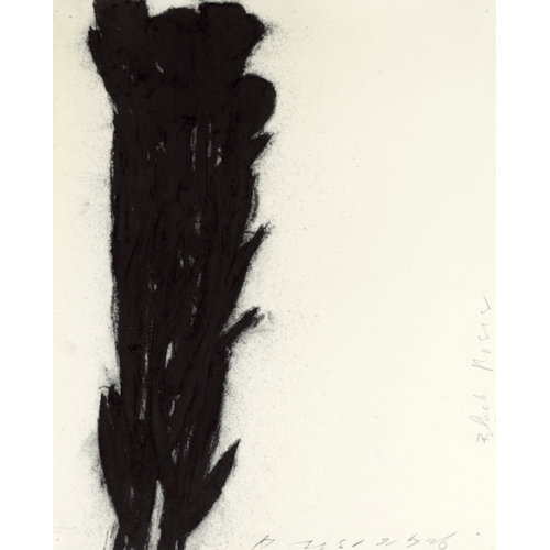 Black Roses